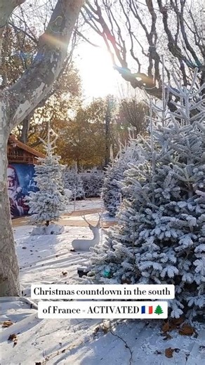 South of France winter magic ❄️ #christmas #france #vlogmas2025
