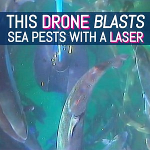 One step closer to shark-mounted killer lasers. | Tech in Asia