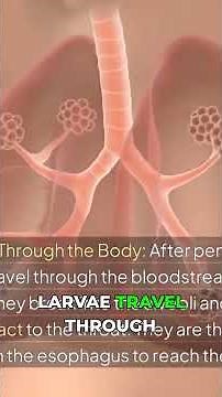 Unmasking the Hookworm Life Cycle: How it Infects YOU!