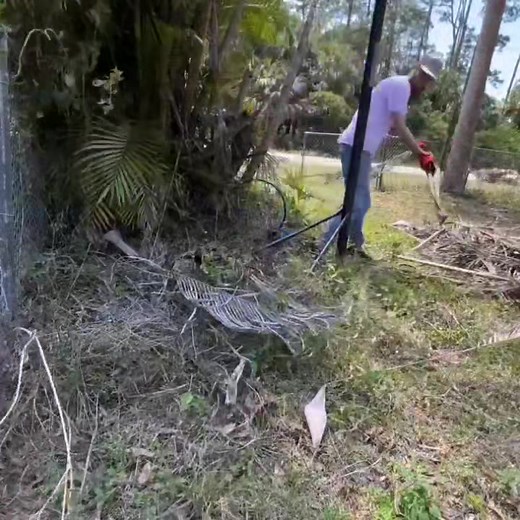 nobody would mow this extremely neglected backyard so i did it for free huge yard transformation | Daily TK Lawns