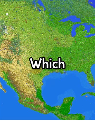 🌍 IP: play.earthpol.com | Which country is not on the Earth SMP? On EarthPol, a full Minecraft Earth server, the entire world is already there. Every country exists — what changes is who claims it, leads it, and builds it. Players can form nations, become Presidents or Kings, build cities, and shape geopolitics across the whole Earth server. If you’re looking for a Minecraft Earth server, Earth SMP, or a realistic Minecraft server where players control the world, this is it. 💬 Discord: discord