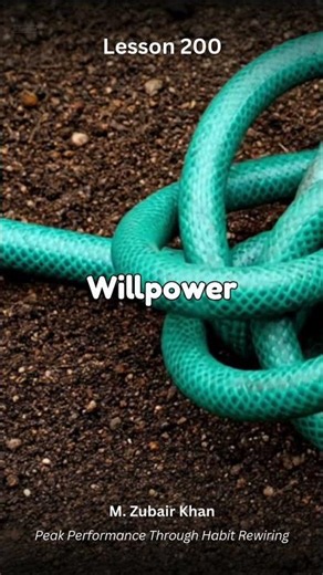 Lesson 200 from the book Peak Performance Through Habit Rewiring by M. Zubair Khan.