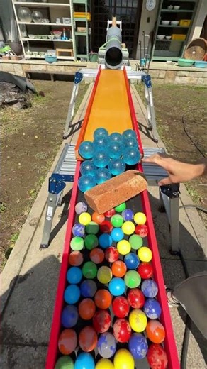 Marble Run ☆ Perfect Performer, Baby②