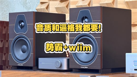 音质和逼格我都要！1万左右性价比非常高的一套hifi音响组合