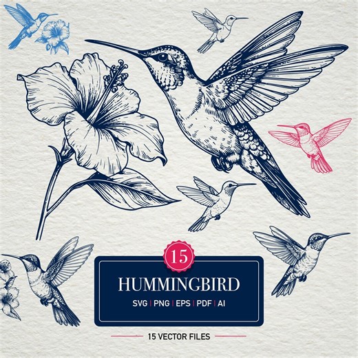 Hummingbird Line Art SVG Bundle | Vintage Floral Vector (15 Files) - Etsy