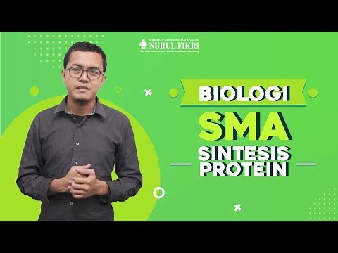 Biologi - Sintesis Protein - 12 SMA, PPLS dan Ronin