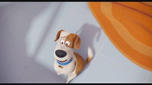 Die Haustiere sind los: Hier ist der neue Trailer zu PETS! August 2016 im Kino!﻿ | Cineplexx Millennium City