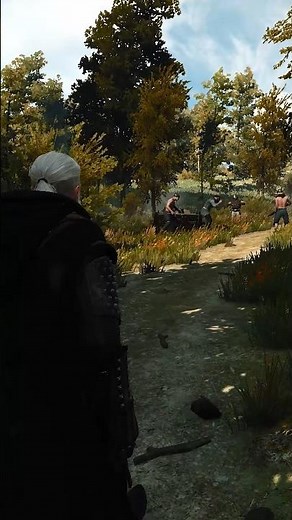 Amazing Missable Quests In The Witcher 3 - Velen Region