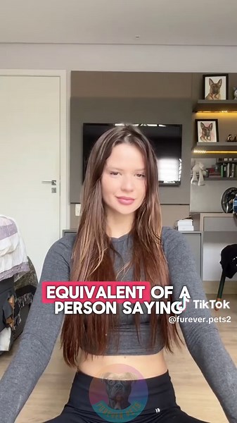 3 Signs Your German Shepherd May Be Dangerous