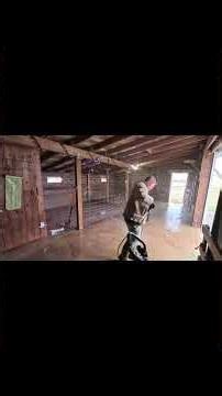 Annual cleaning and disinfecting of the pig barn