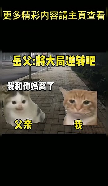 岳父來將大局逆轉吧#猫meme #搞笑 #表情包 #貓meme #貓貓最可愛