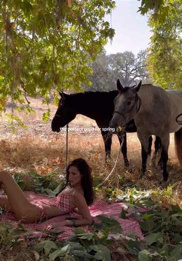 meet lover’s lane ♥️ a perfect plaid exclusively from the @Bella Hadid x frankies bikinis collection 🌾🐴 #bellaXfrankies