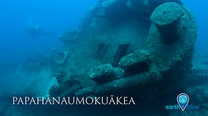 Shipwrecks as habitats in your national marine sanctuaries| Office of National Marine Sanctuaries