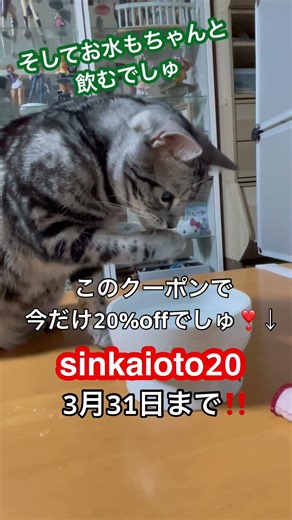 No.383 お口のケアはちゃんとして下しゃいね💖😺😾👿 #PR #お口のふりかけ #topet #犬の歯磨き #猫の歯磨き
