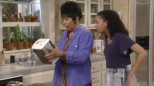 SISTER, SISTER - S02 E01 - Hair Today (480p - NF Web-DL)