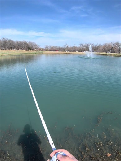 🎣🎣🎣🎣#fyp #fishing #outdoors #foryoupage | Fishing