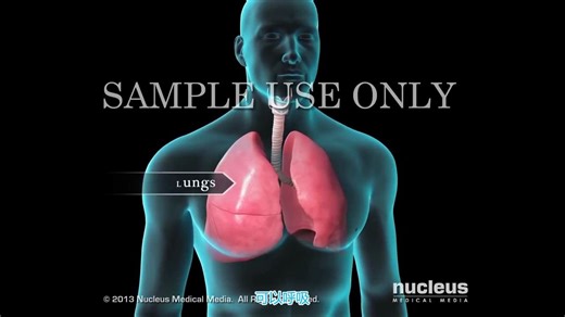 医学动画：人体的肺是如何进行呼吸？完成氧与二氧化碳的交换