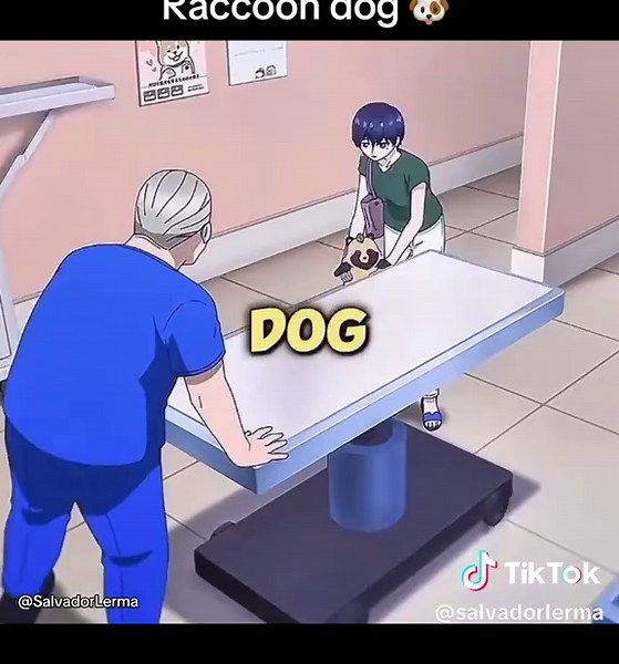 With You and the Rain anime recommendations — smart raccoon dog scenes