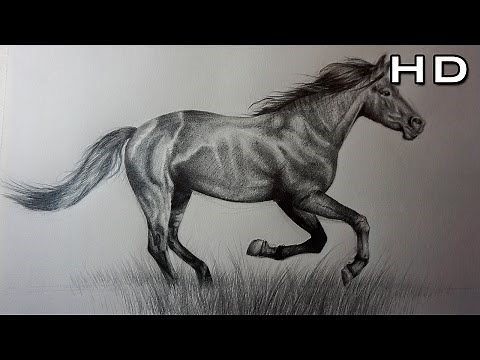 How to Draw a Realistic Horse in Pencil Step by Step - TUTORIAL