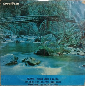 Various - Disco N° 1