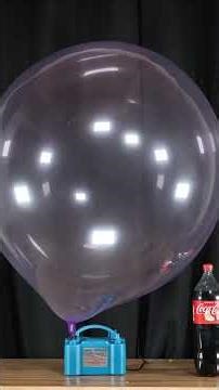 Overinflated Kalisan 24" purple balloon blow to pop B2P BTP