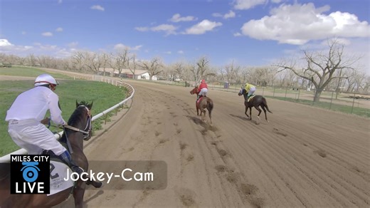 5.4K views · 79 reactions | Don't miss the Mother's Day Horse Races SUNDAY out at the fairgrounds! The first race starts at 1PM. Enjoy the VIDEO FLASH BACK from 2022 - Jockey Cam-Video!! | Miles City Live | Facebook