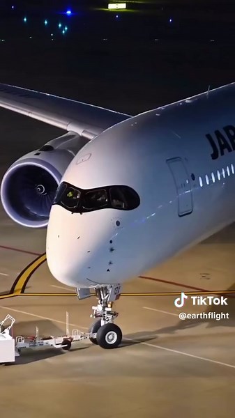 Flight Simulator 4K Game: Experience Beautiful Aviation Transitions