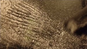 51K views · 306 reactions | I just learned that my ice scraper could do this and I couldn't believe that I went my whole life scraping ice off my car the wrong way! Maybe this tip can help you, too! ~Andy | 98.5 KTIS | Facebook