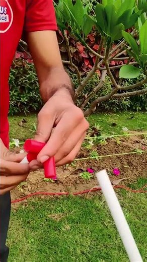 Kids Love This Peppa Pig Tent House 🐷🎪 | Best Gift for Children | Buysquare