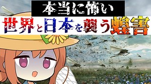 本当に怖い世界と日本を襲う蝗害【VOICEROID解説】