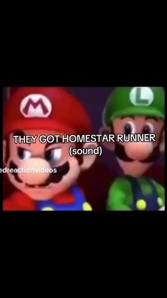 Disco - CEO of Strongcest na TikTok