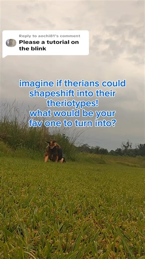 Replying to @aochi81 tutorial on the blink effect! #therian #therianthropy #theriantiktok #fyp #viralvideo