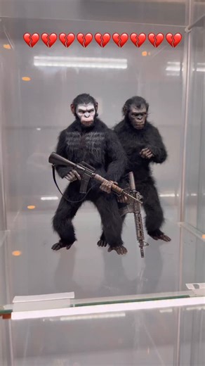 Maso777 on Instagram: "How do I keep doing this 💔💔 - get yours at @one_sixth_dimension (code: OSDMASO77710) . . TAGS: #hottoys #collection #actionfigures #planetoftheapes #toys"