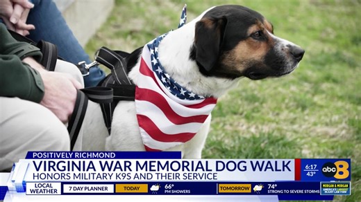 4th annual K9 Veteran Day Memorials Dog Walk honors military K9s