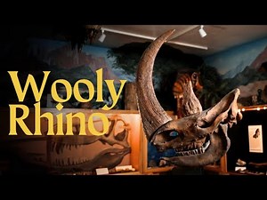 Wooly Rhino