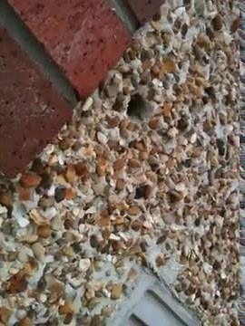 Wasps stealing insulation