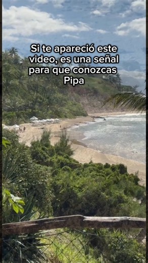 Agencia de turismo en Pipa, Brasil🇧🇷 on Instagram: "🌴 Pipa, nordeste de Brasil Un paraíso que realmente lo tiene todo. Playas paradisíacas, agua cálida y un clima que acompaña siempre: acá es verano todo el año ☀️ Playas hermosas y su naturaleza sorprende con delfines y tortugas marinas que se dejan ver muy de cerca 🐬🐢 Pipa también es movimiento y experiencias: buenas olas para surfear, paseos en buggy, jeep, parapente, y paisajes increíbles. Y cuando cae el sol, el Pipa se transforma. Es u