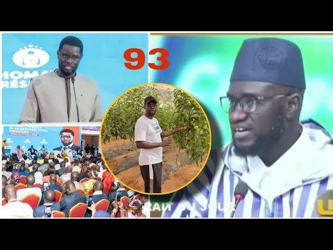 "Diomaye-Sonko divorce": Imam Babacar Sylla harshly criticizes the Diomaye-President coalition
