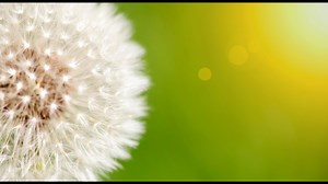 The Pollen in Atlanta reached 4th highest for February this week