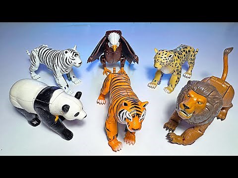 Animals Transforming Robot Toys - Panda, White Tiger, Lion, Tiger, Eagle, Cheetah