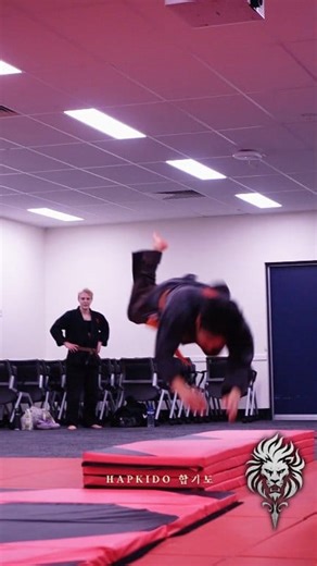 21K views · 266 reactions | Practising the pounce, hapkido dive rolls. #hapkido | IGNIS martial arts academy | Facebook