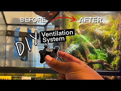 The SECRET to keeping your plants HAPPY in your bioactive vivariums! Fan powered ventilation DIY