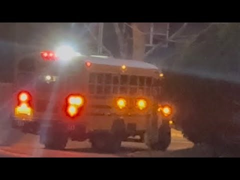 2023 Bluebird Vision: Bus 133