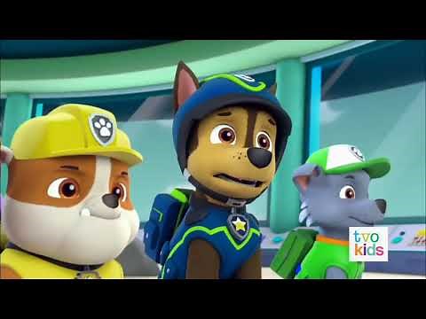 PAW Patrol Skye is missing