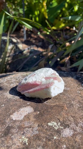 4K views · 85 reactions | This raw Pink Tourmaline is more than just a beautiful piece - it represents the power of unconditional love and friendship. ✨ With hues of pink held in a white matrix, it is a tribute to the raw and unbridled beauty of the natural world. Place it in your living room, bedroom or bathroom and let its energy remind you of the love and kindness that exists in the world. | Crystal Castle | Facebook