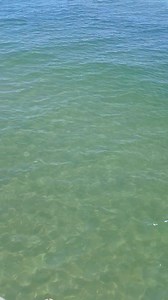 The water looks great. #61ststreetfishingpier #pierlife #galveston #texascoast #61stpier #FamilyFishingFun #fishingaddict | 61st Street Fishing Pier
