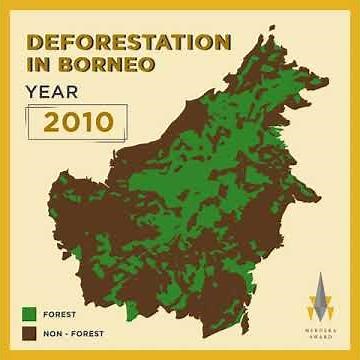 Deforestation in Borneo
