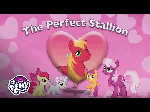 Music Video I The Perfect Stallion