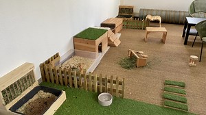 13K views · 420 reactions | Mais où est Sway ????樂 | Rabbits World | Facebook