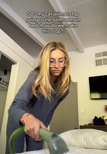 Effective Tips for Managing Cat Litter Box Issues